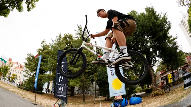 Shred the Spot